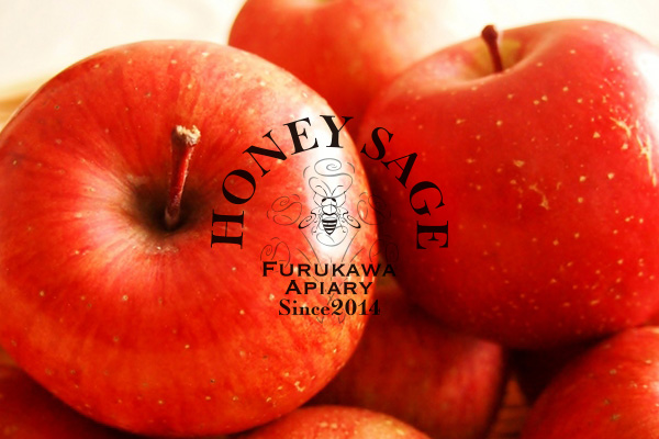 リンゴ蜂蜜 イメージ